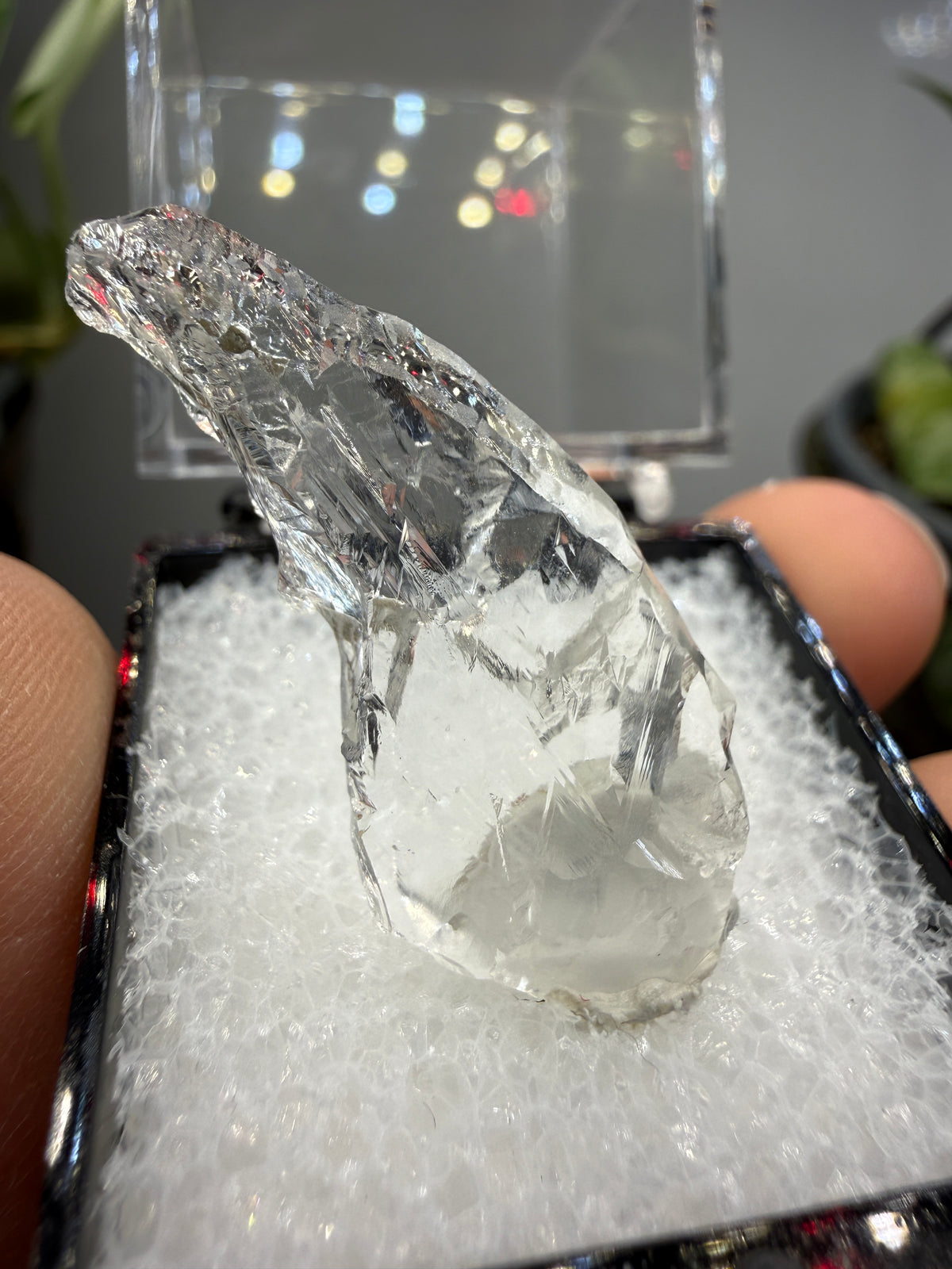 Etched Topaz- Agnus Dei Claim, Cameron Cone, Crystal Park, El Paso County, Colorado, USA