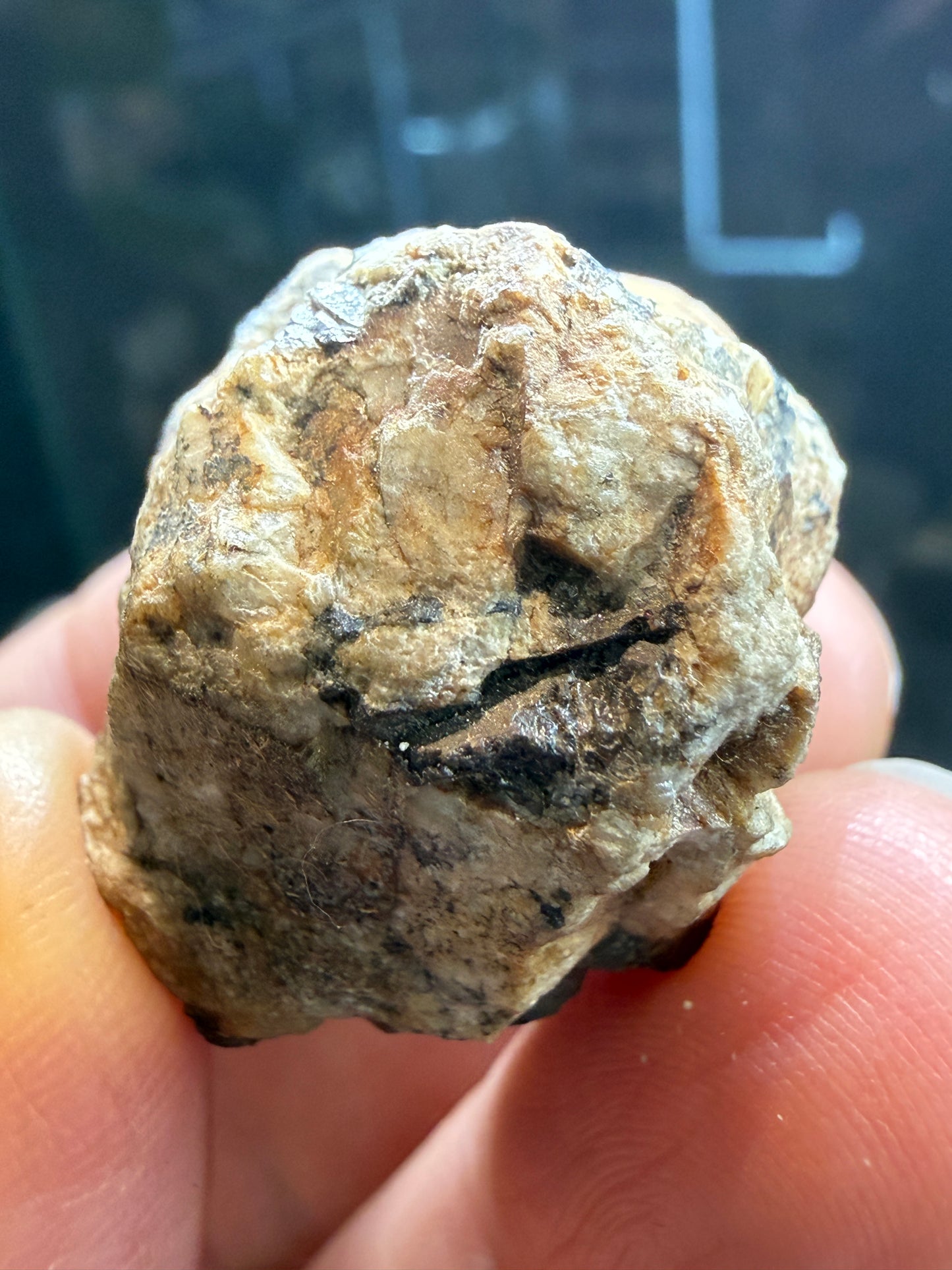 Hubernite- Colorado