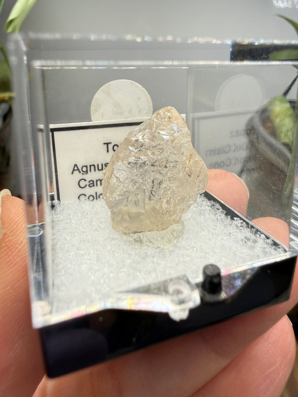 Etched Topaz- Agnus Dei Claim, Cameron Cone, Crystal Park, El Paso County, Colorado, USA