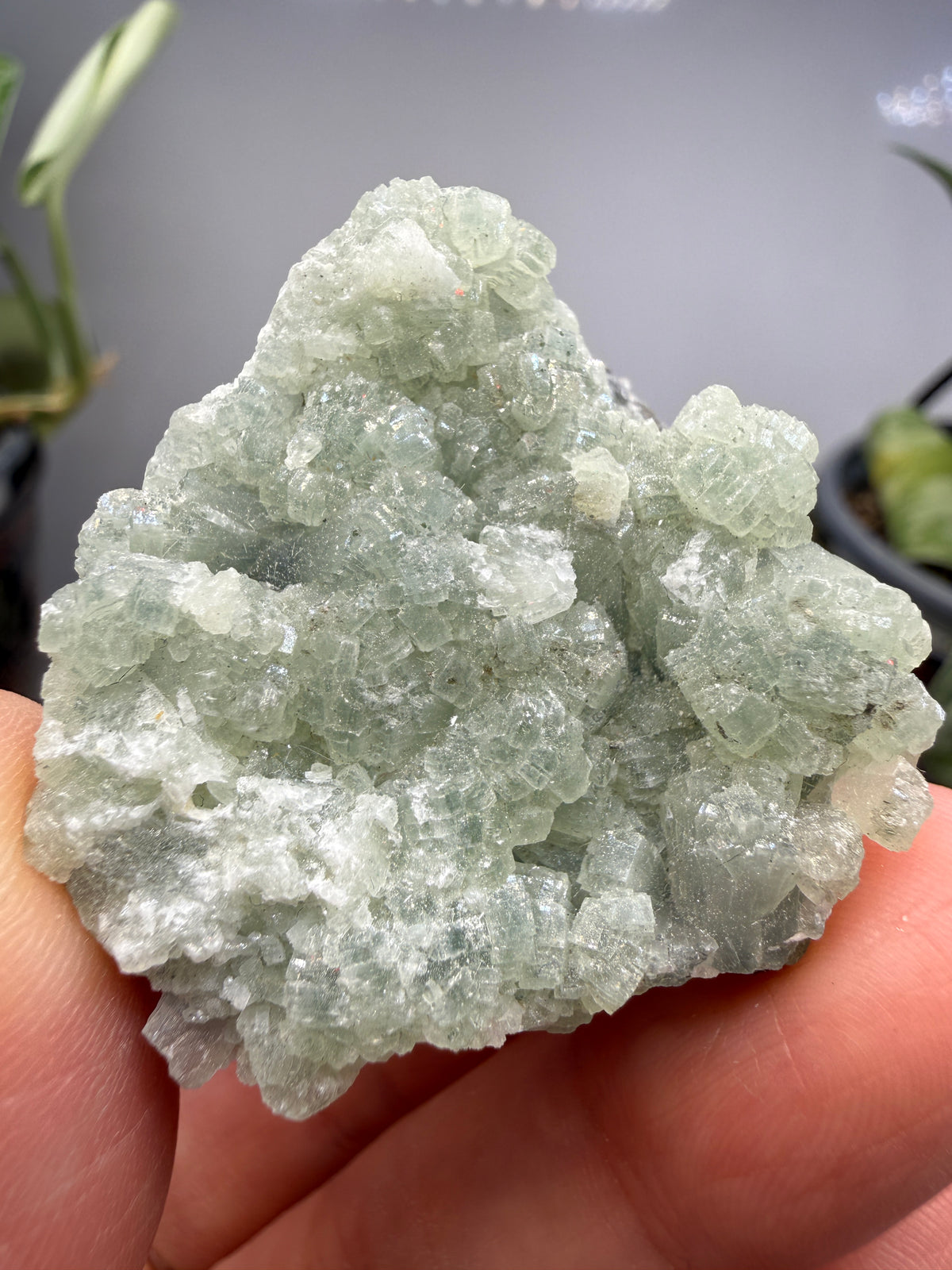 Prehnite- Lonavala Quarry, Lonavala, Pune District, Pune Division, Maharashtra, India