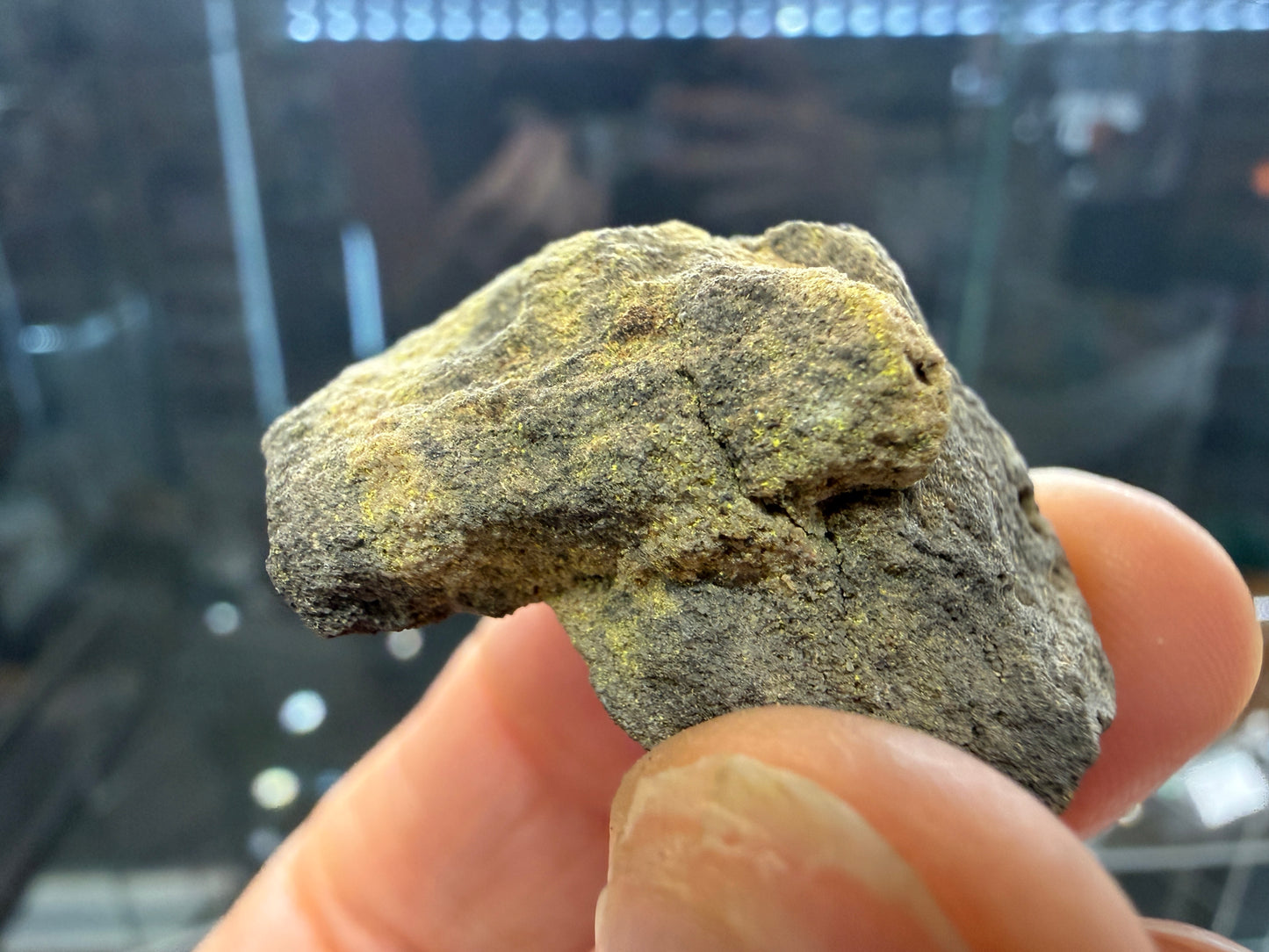 Carnotite- Colorado