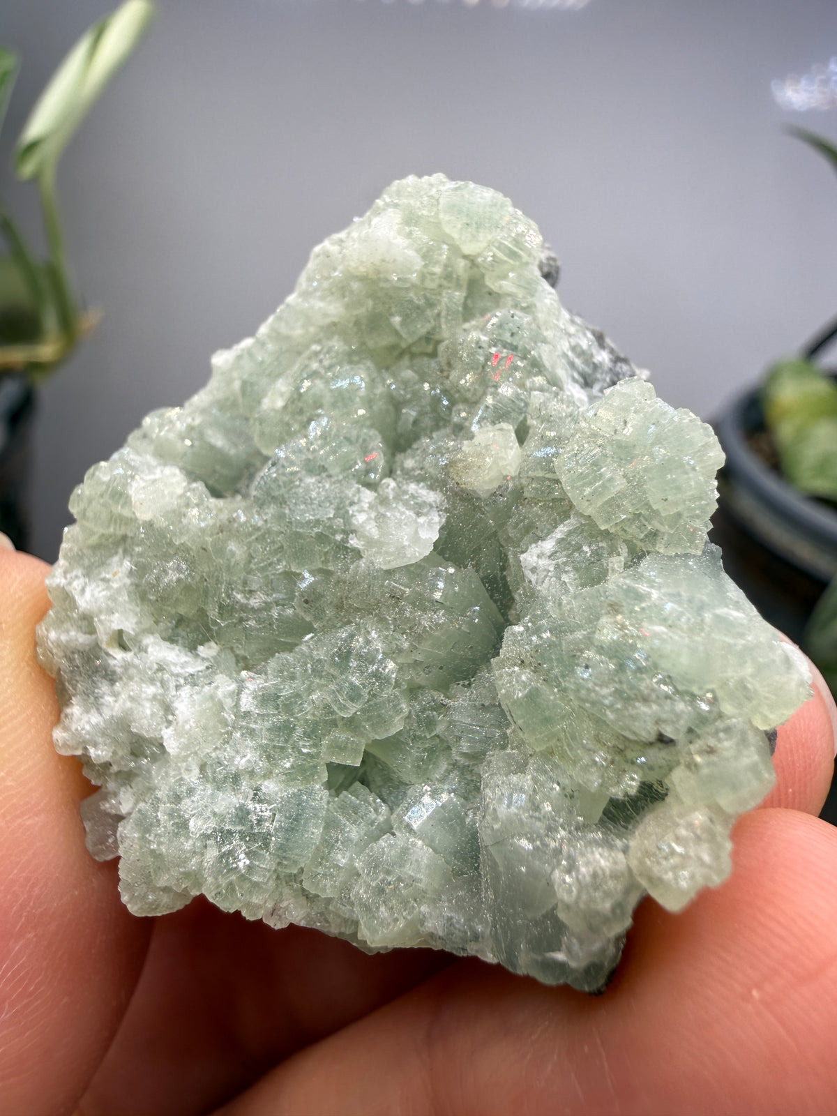 Prehnite- Lonavala Quarry, Lonavala, Pune District, Pune Division, Maharashtra, India