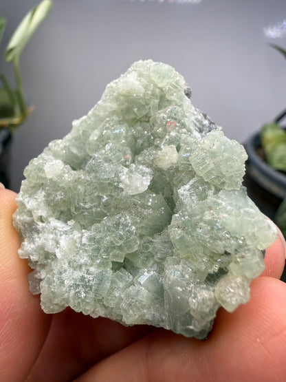 Prehnite- Lonavala Quarry, Lonavala, Pune District, Pune Division, Maharashtra, India