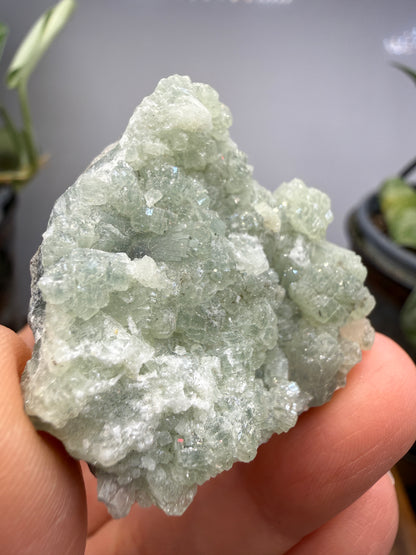 Prehnite- Lonavala Quarry, Lonavala, Pune District, Pune Division, Maharashtra, India