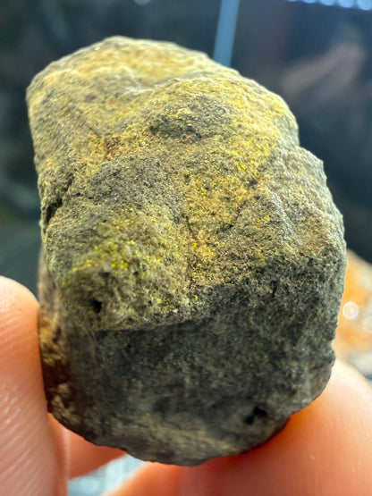 Carnotite- Colorado