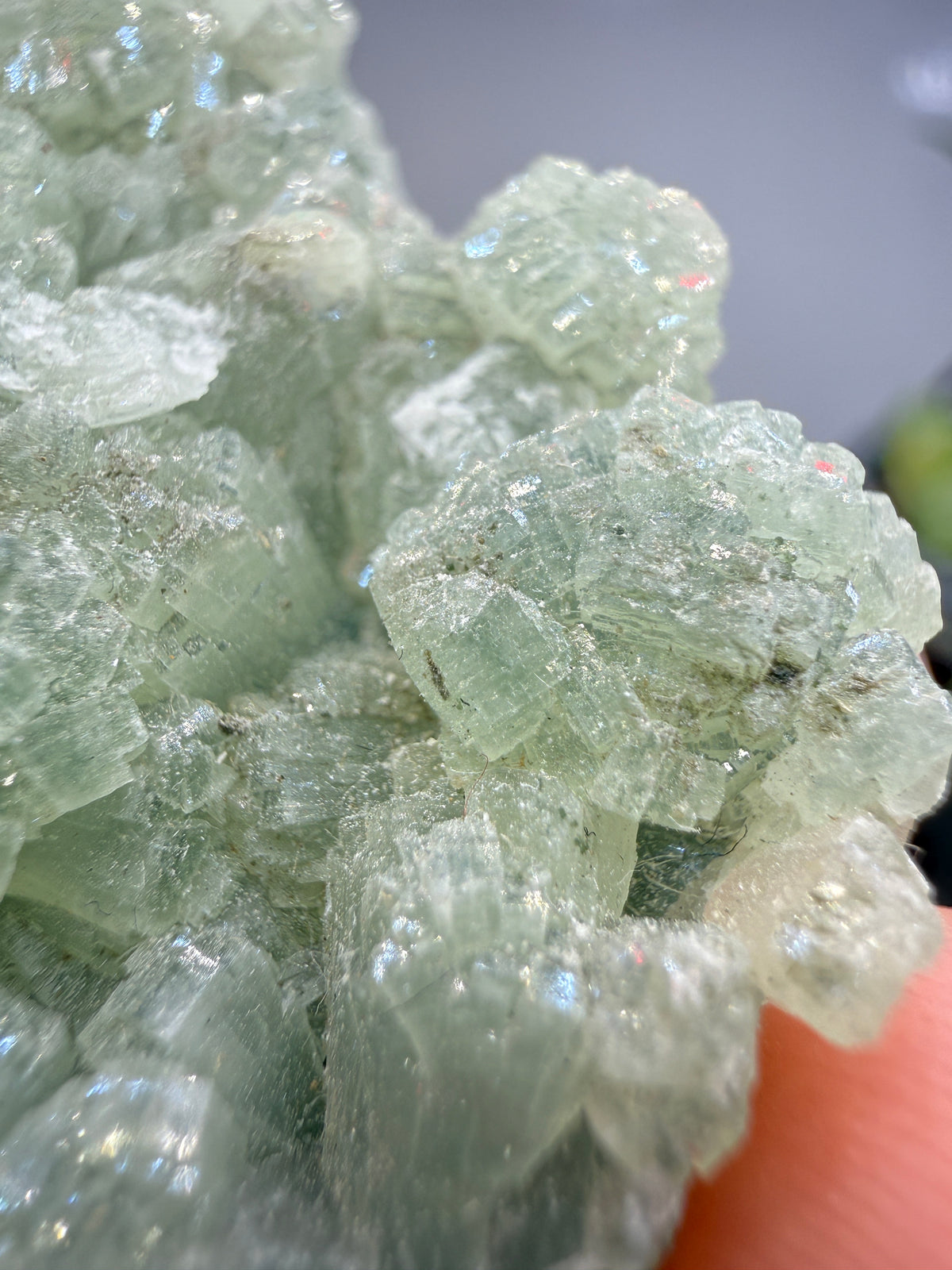 Prehnite- Lonavala Quarry, Lonavala, Pune District, Pune Division, Maharashtra, India