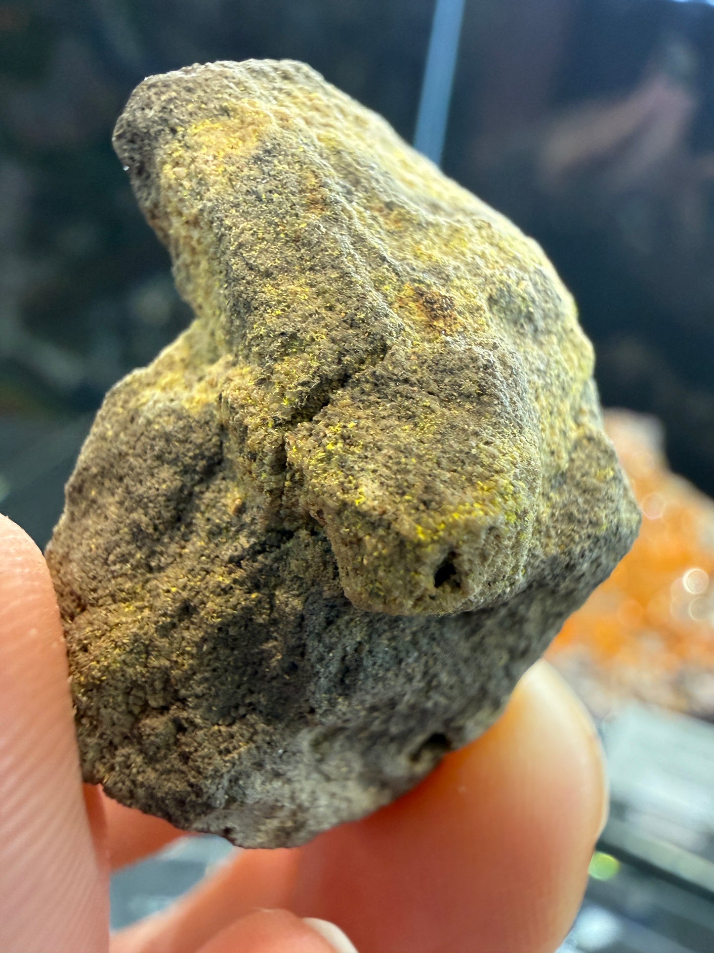 Carnotite- Colorado