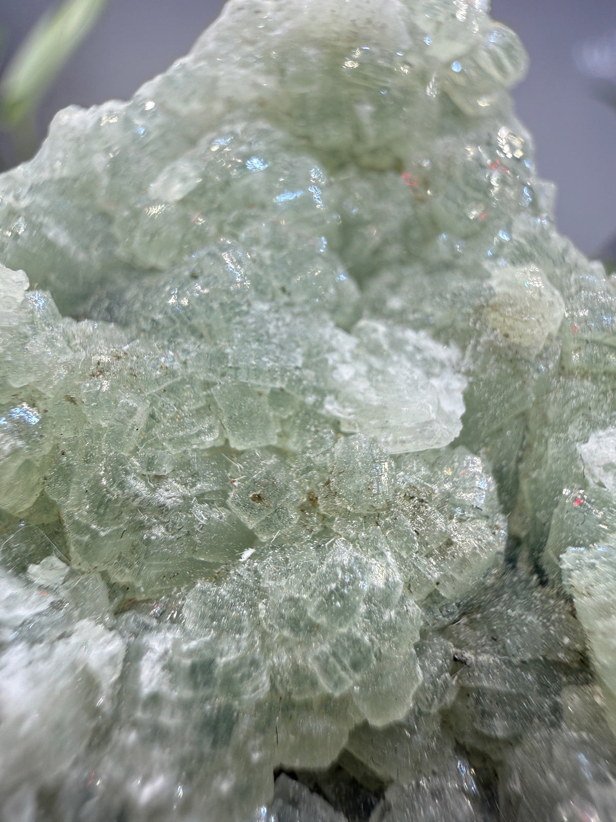 Prehnite- Lonavala Quarry, Lonavala, Pune District, Pune Division, Maharashtra, India