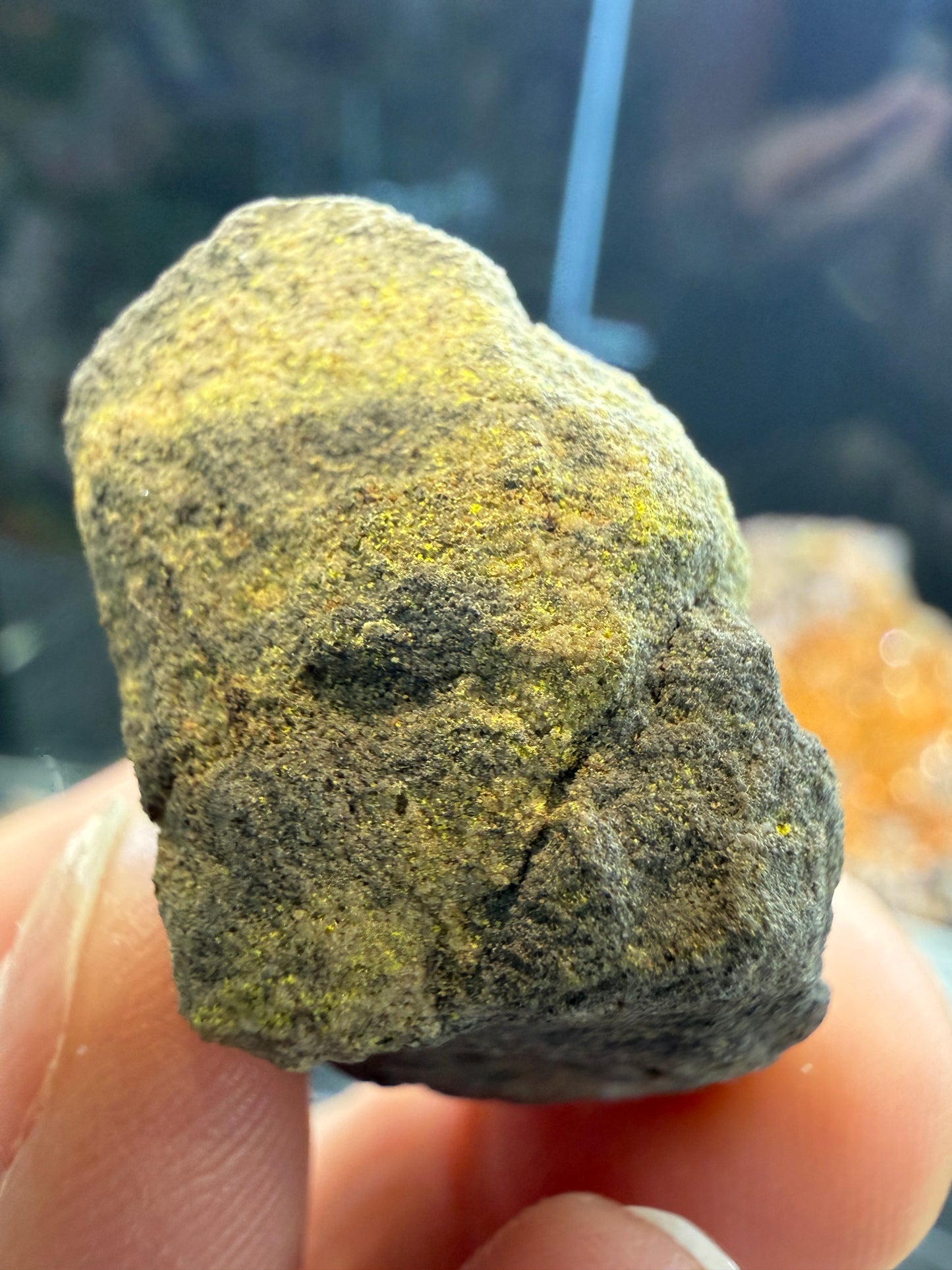 Carnotite- Colorado