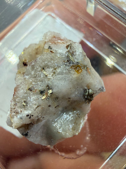 Native Gold in Quartz- La Choya Mine, Sonoyta,  Plutarco Elías Calles , Sonora, Mexico