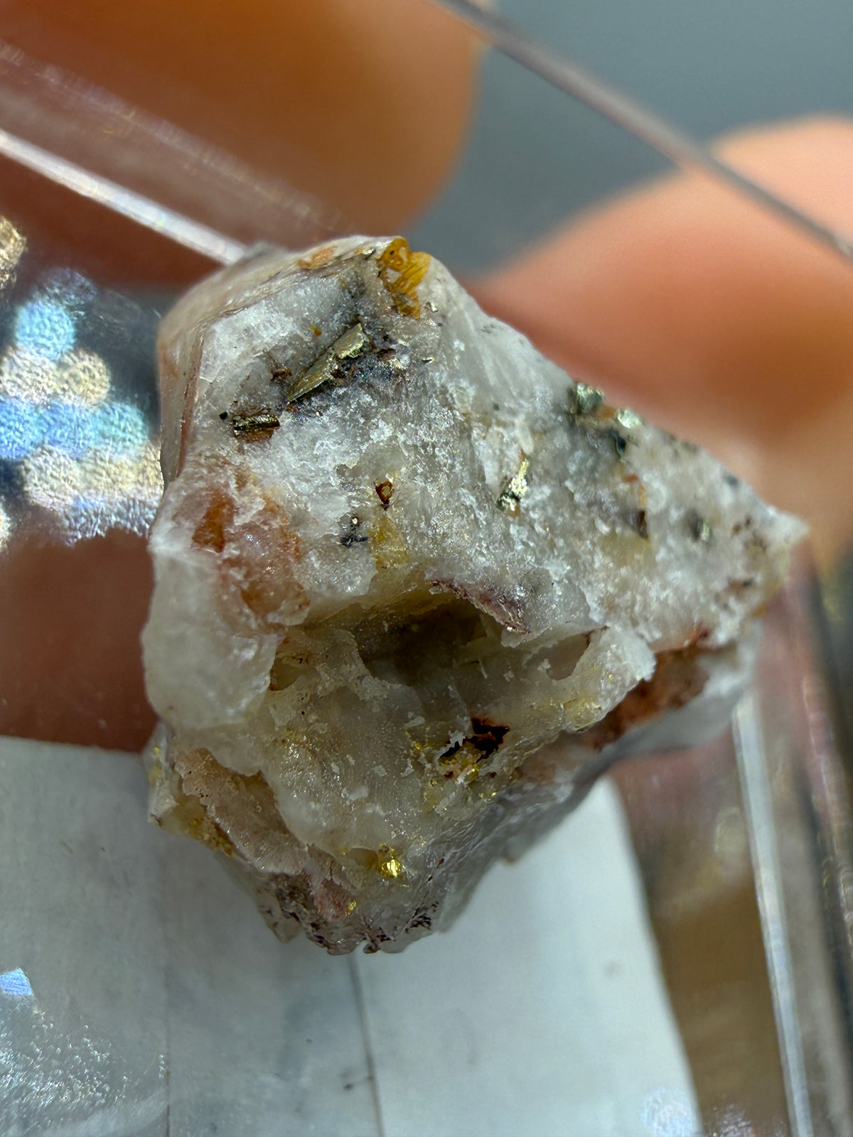 Native Gold in Quartz- La Choya Mine, Sonoyta,  Plutarco Elías Calles , Sonora, Mexico