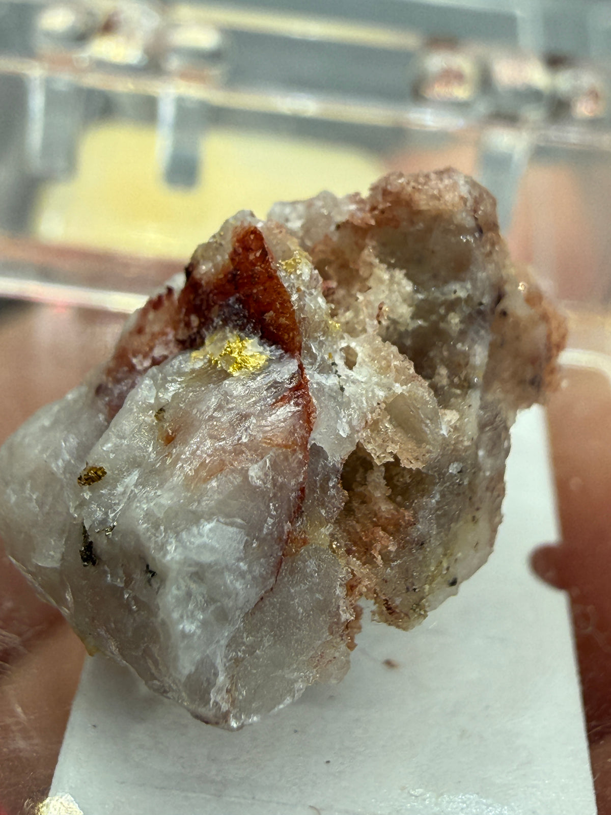 Native Gold in Quartz- La Choya Mine, Sonoyta,  Plutarco Elías Calles , Sonora, Mexico