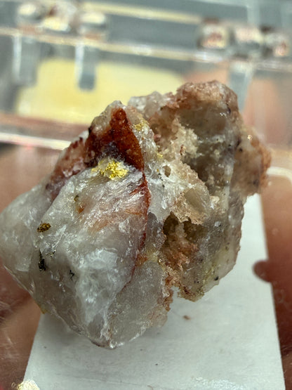 Native Gold in Quartz- La Choya Mine, Sonoyta,  Plutarco Elías Calles , Sonora, Mexico