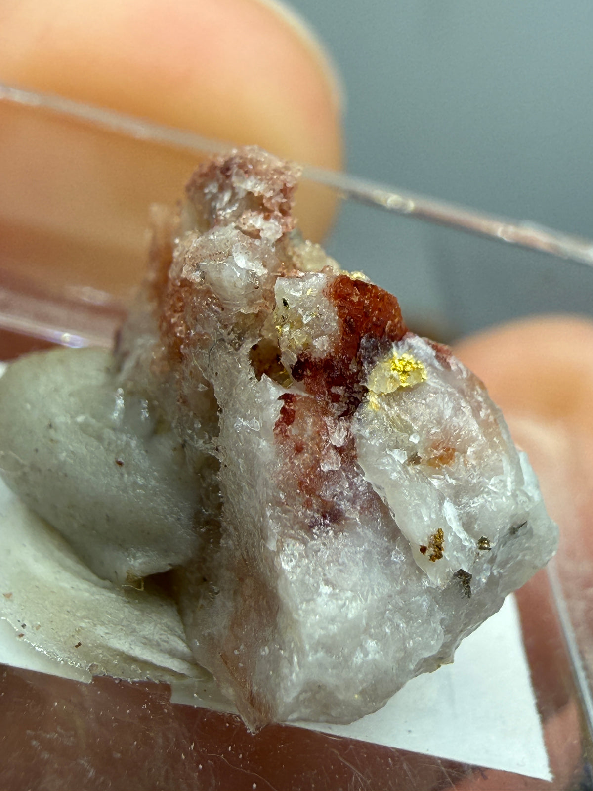 Native Gold in Quartz- La Choya Mine, Sonoyta,  Plutarco Elías Calles , Sonora, Mexico