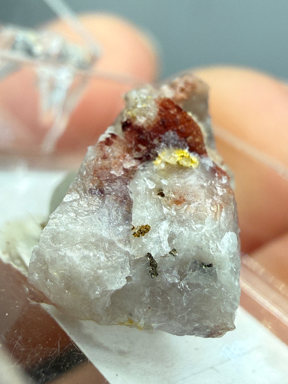 Native Gold in Quartz- La Choya Mine, Sonoyta,  Plutarco Elías Calles , Sonora, Mexico
