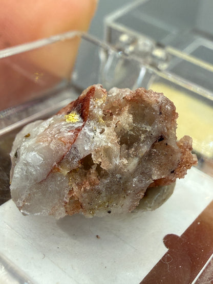Native Gold in Quartz- La Choya Mine, Sonoyta,  Plutarco Elías Calles , Sonora, Mexico