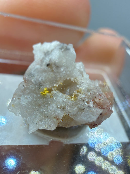 Native Gold in Quartz- La Choya Mine, Sonoyta,  Plutarco Elías Calles , Sonora, Mexico