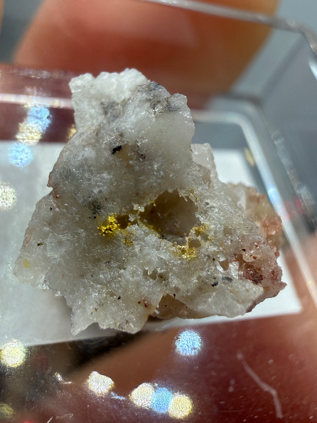 Native Gold in Quartz- La Choya Mine, Sonoyta,  Plutarco Elías Calles , Sonora, Mexico