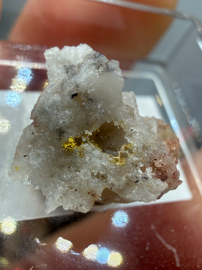 Native Gold in Quartz- La Choya Mine, Sonoyta,  Plutarco Elías Calles , Sonora, Mexico