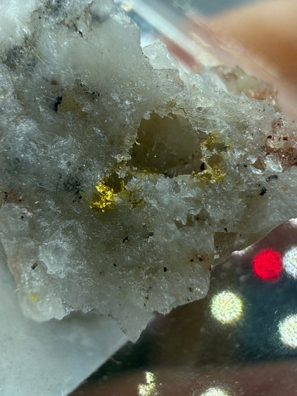Native Gold in Quartz- La Choya Mine, Sonoyta,  Plutarco Elías Calles , Sonora, Mexico