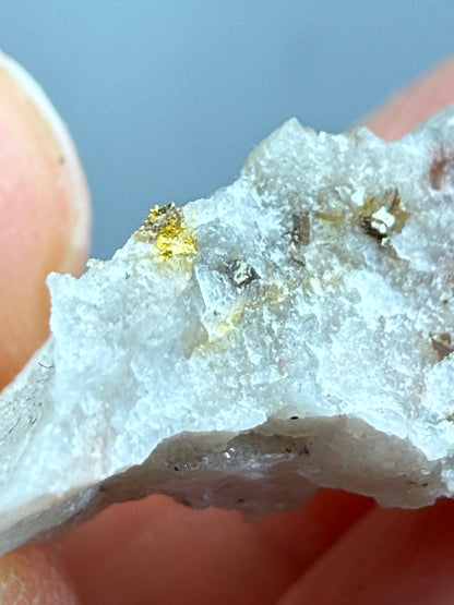 Native Gold in Quartz- La Choya Mine, Sonoyta,  Plutarco Elías Calles , Sonora, Mexico