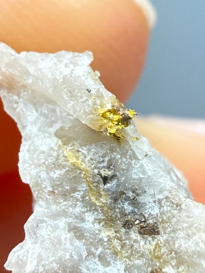 Native Gold in Quartz- La Choya Mine, Sonoyta,  Plutarco Elías Calles , Sonora, Mexico