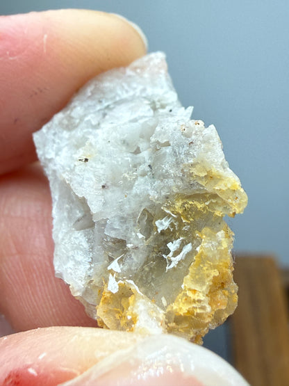Native Gold in Quartz- La Choya Mine, Sonoyta,  Plutarco Elías Calles , Sonora, Mexico