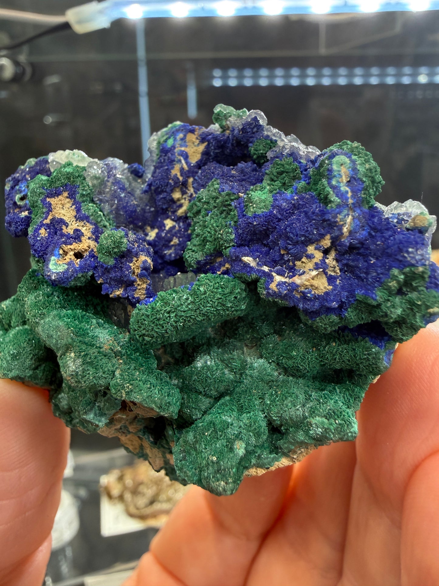 Azurite, Malachite ps Selenite, Calcite- Apex Mine, Jarvis Peak, Beaver Dam Mountains, Washington County, Utah, USA