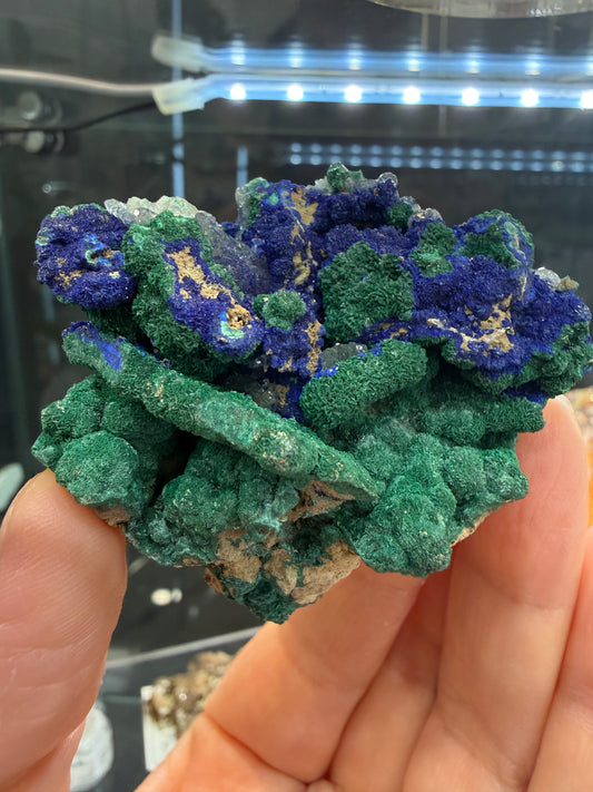 Azurite, Malachite ps Selenite, Calcite- Apex Mine, Jarvis Peak, Beaver Dam Mountains, Washington County, Utah, USA