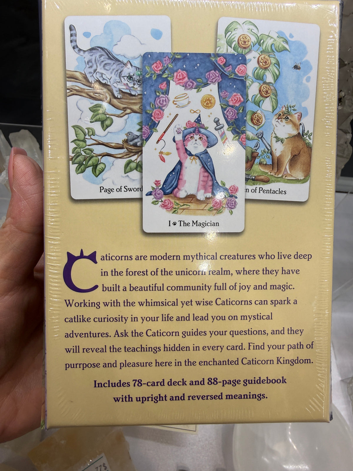 Caticorn Tarot- Pamela Chen & Delphine Dion