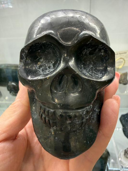 Shungite Skull