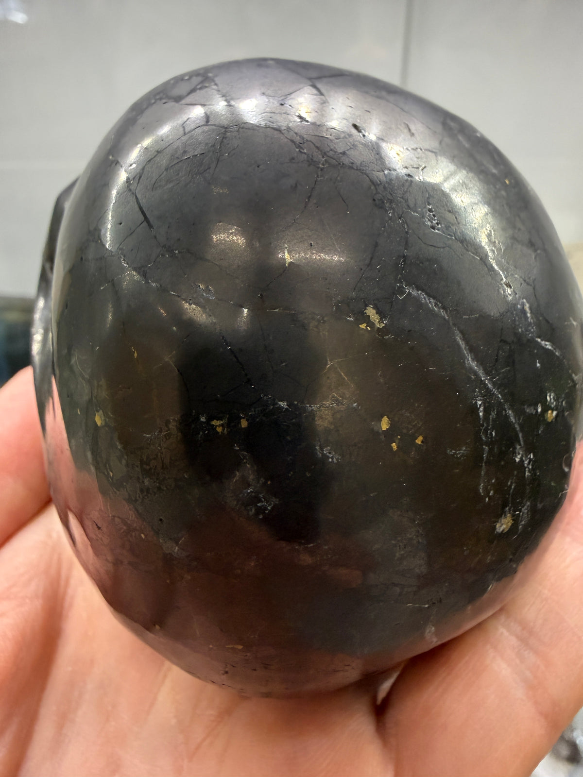 Shungite Skull