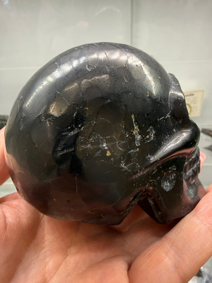 Shungite Skull