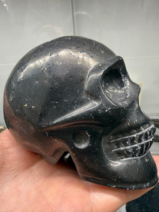 Shungite Skull