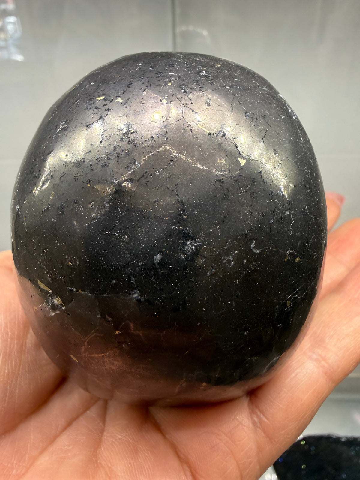 Shungite Skull