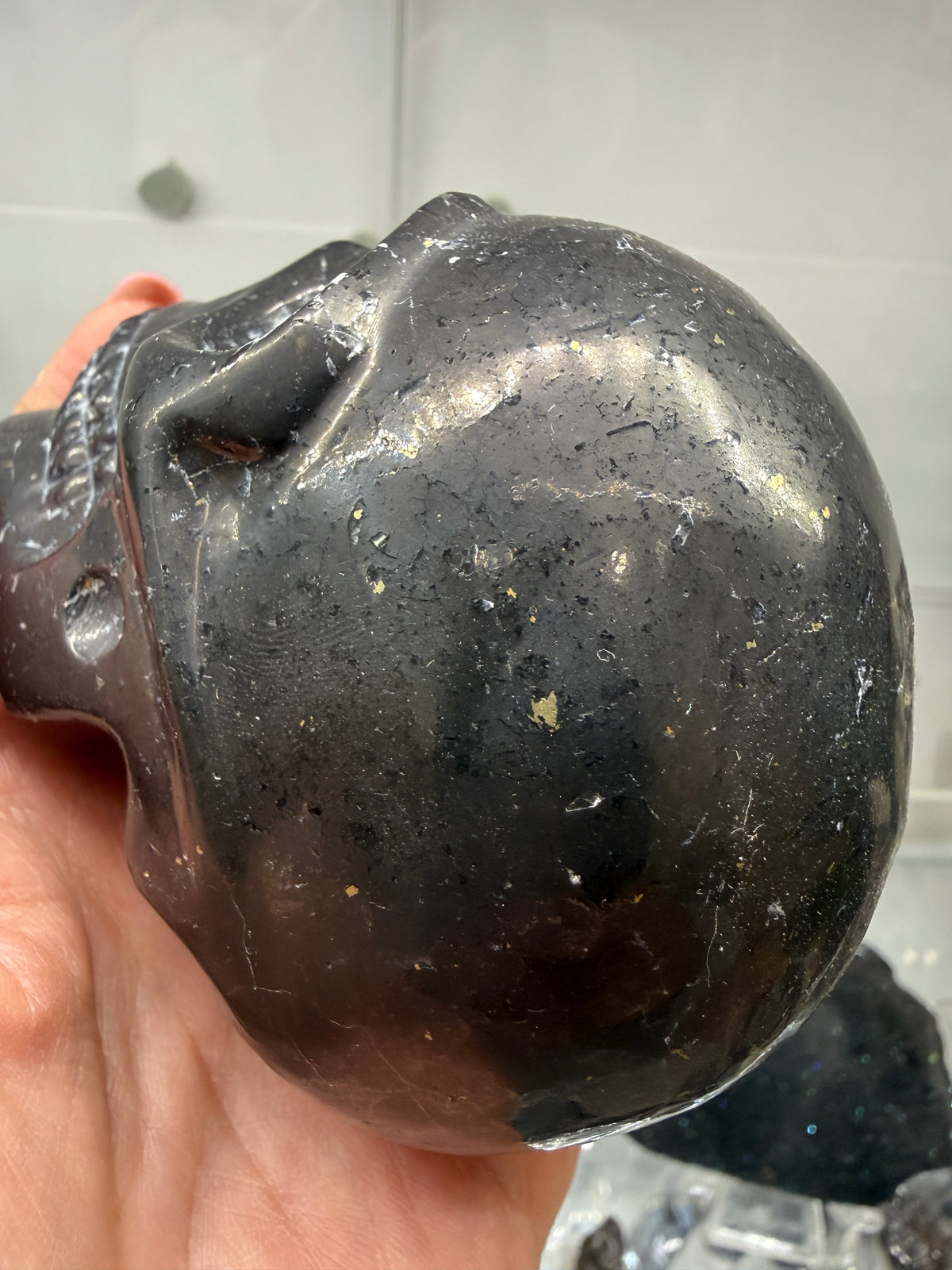 Shungite Skull