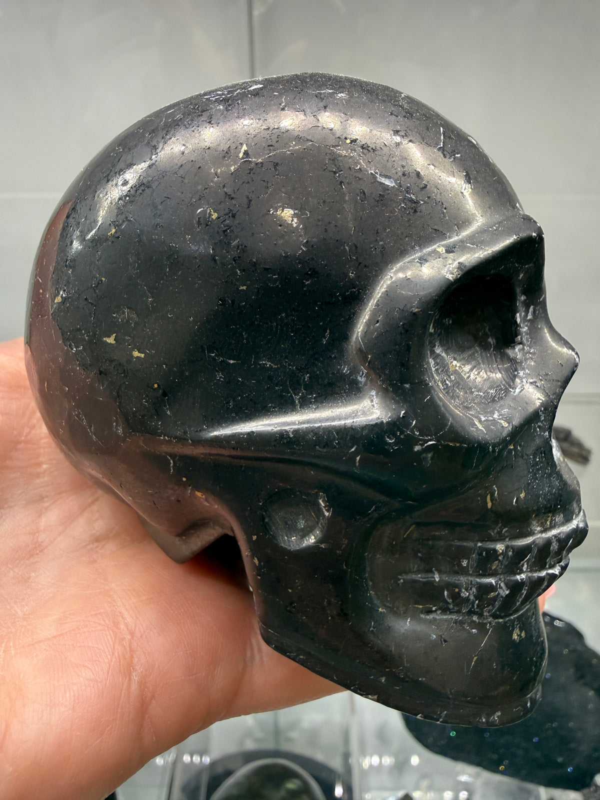 Shungite Skull