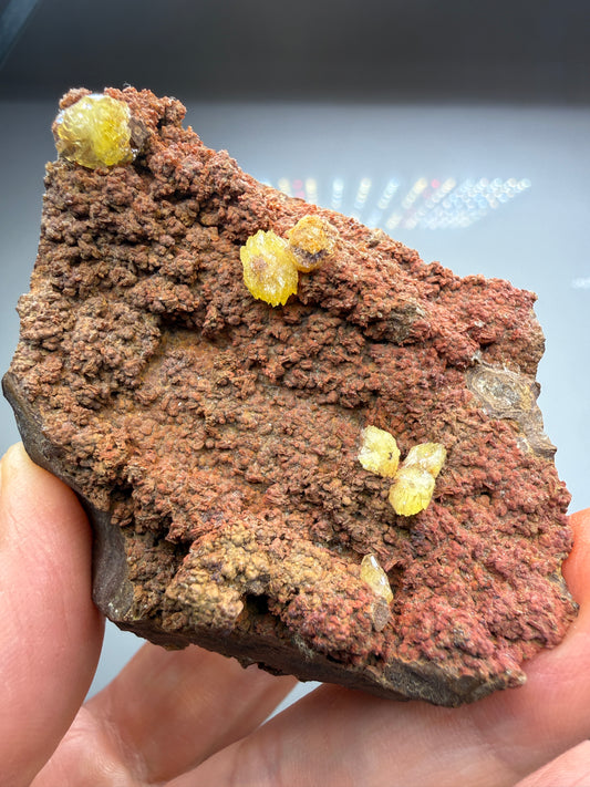 Paradamite- Ojuela Mine, Mapimí, Durango, Mexico, ex. Marty Zinn