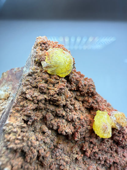 Paradamite- Ojuela Mine, Mapimí, Durango, Mexico, ex. Marty Zinn