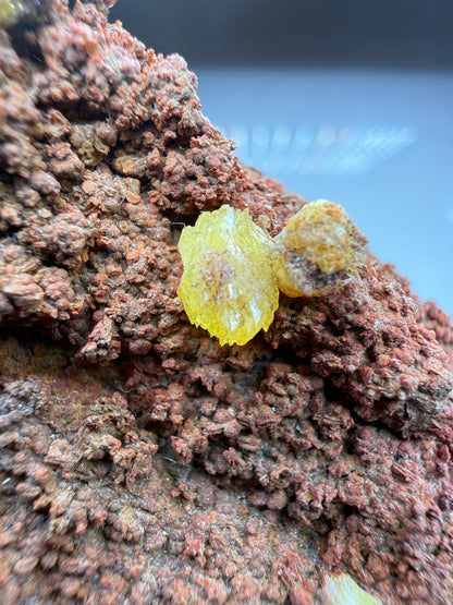 Paradamite- Ojuela Mine, Mapimí, Durango, Mexico, ex. Marty Zinn