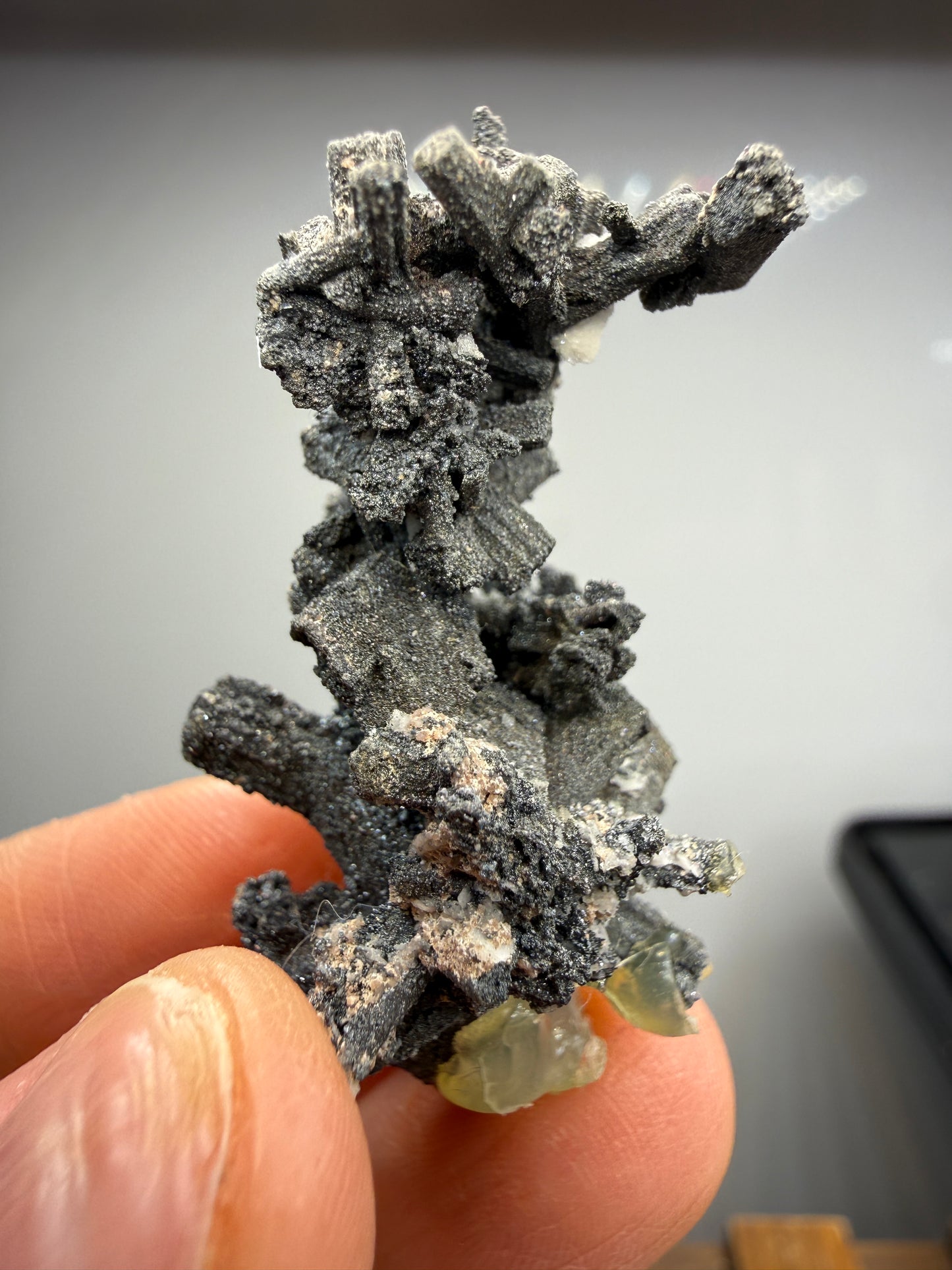 Acanthite Pseudomorph after Pyrargyrite- La Valenciana Mine, Guanajuato, Mexico