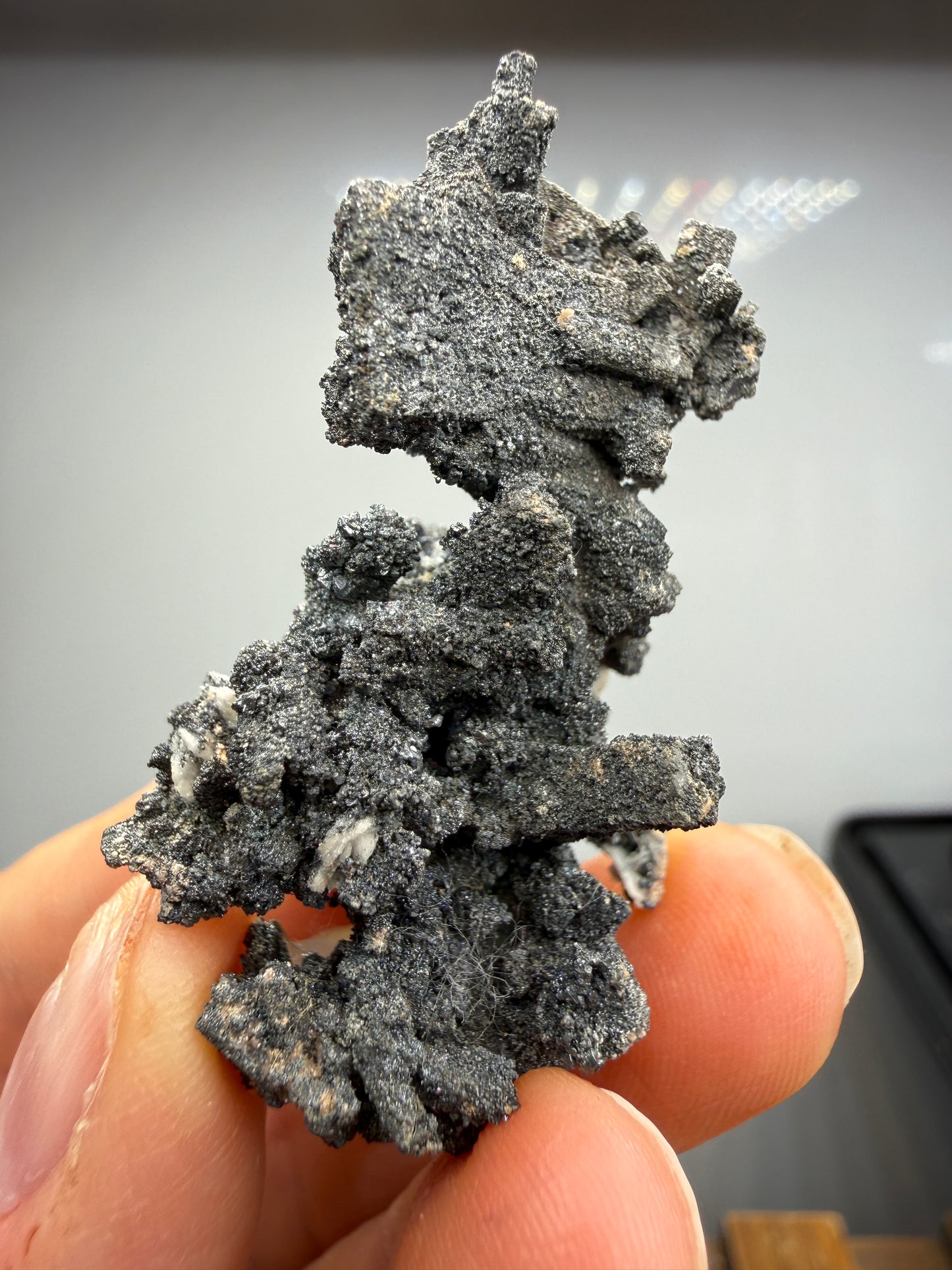 Acanthite Pseudomorph after Pyrargyrite- La Valenciana Mine, Guanajuato, Mexico