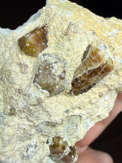 Vesuvianite- Sierra de Cruces, Coahuila, Mexico
