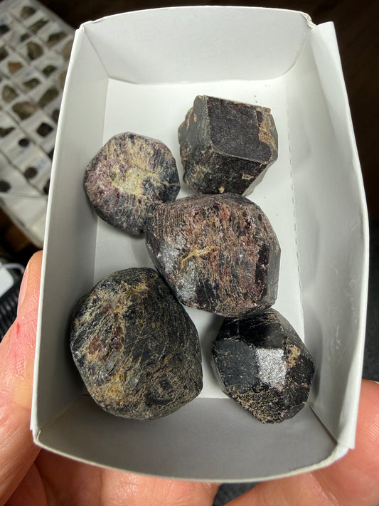 Rough Almandine Garnet Lot (5)- Kayes Region, Mali