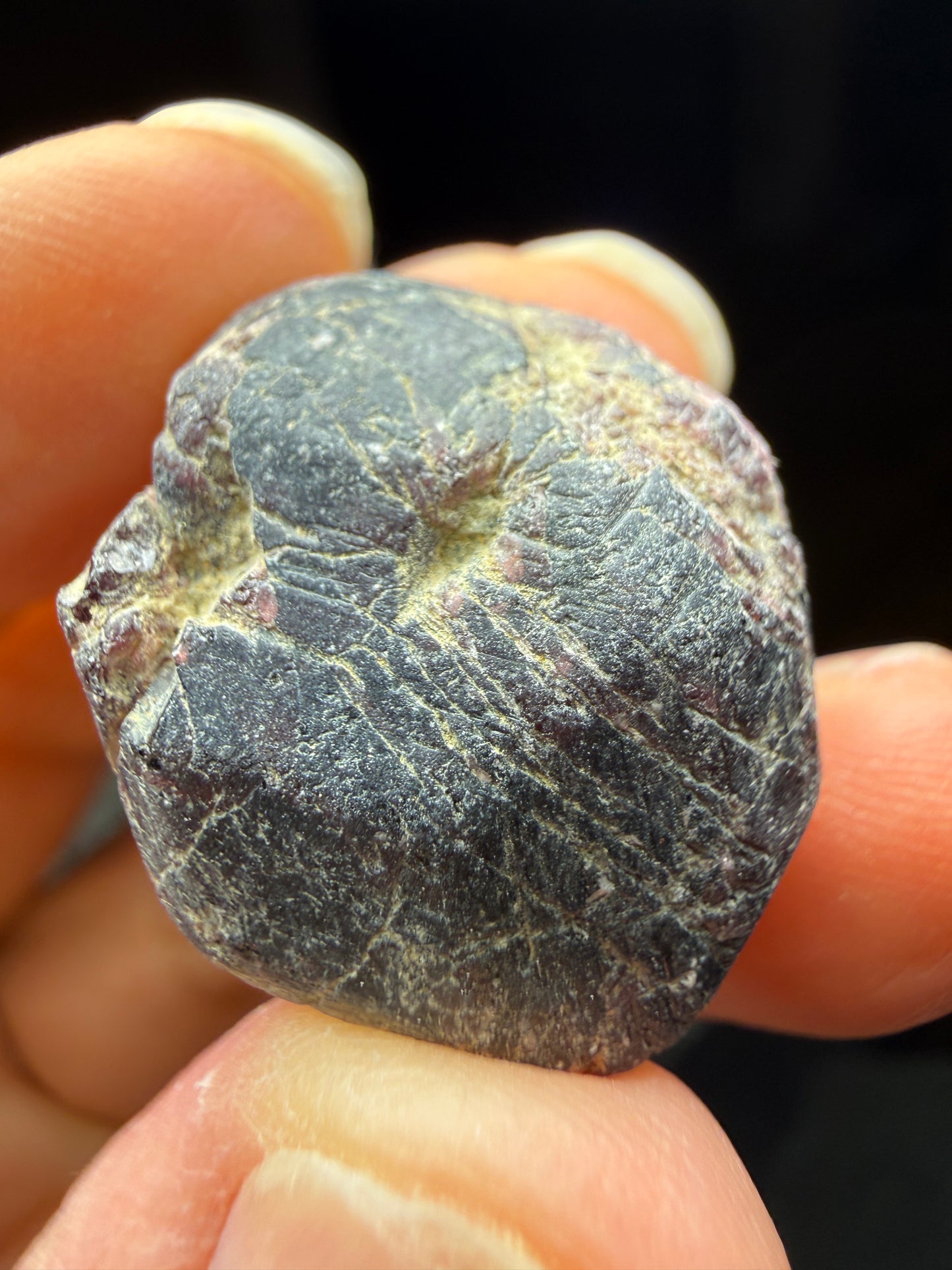 Rough Almandine Garnet Lot (5)- Kayes Region, Mali
