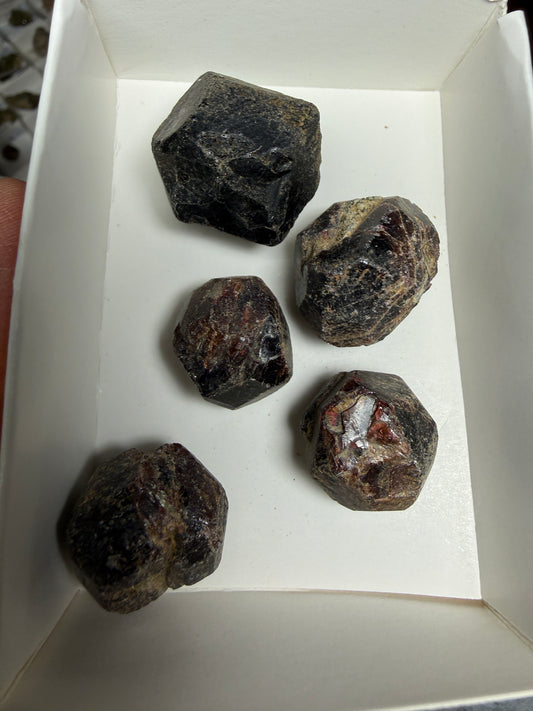 Rough Almandine Garnet Lot (5)- Kayes Region, Mali