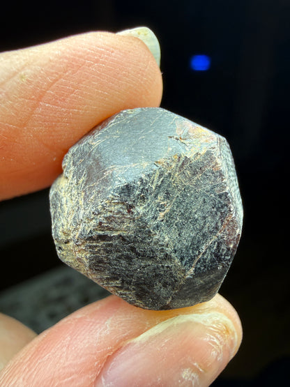 Rough Almandine Garnet Lot (5)- Kayes Region, Mali