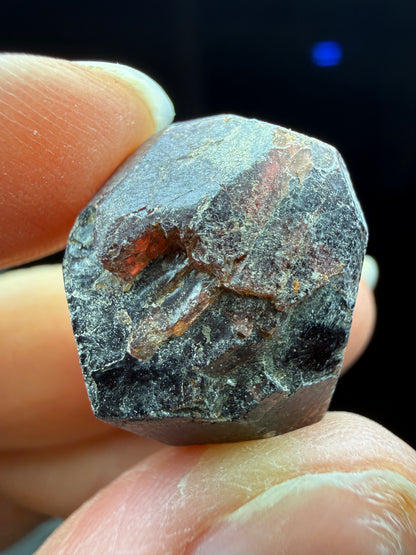 Rough Almandine Garnet Lot (5)- Kayes Region, Mali