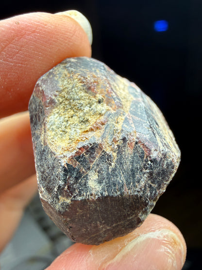Rough Almandine Garnet Lot (5)- Kayes Region, Mali