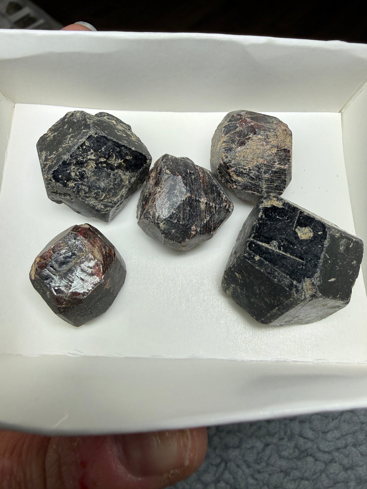 Rough Almandine Garnet Lot (5)- Kayes Region, Mali